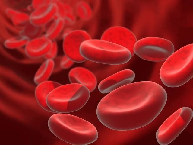 Anemia Profile