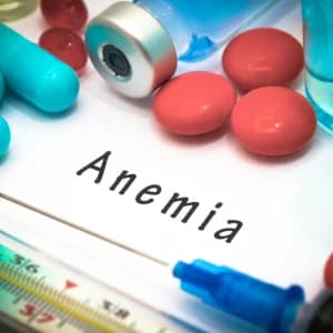 ANEMIA PROFILE